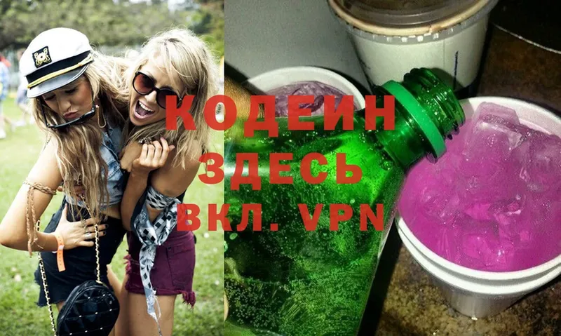 Кодеиновый сироп Lean Purple Drank  Олонец 